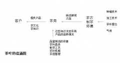 买茶的时候，其实是你在跟评茶员打交道